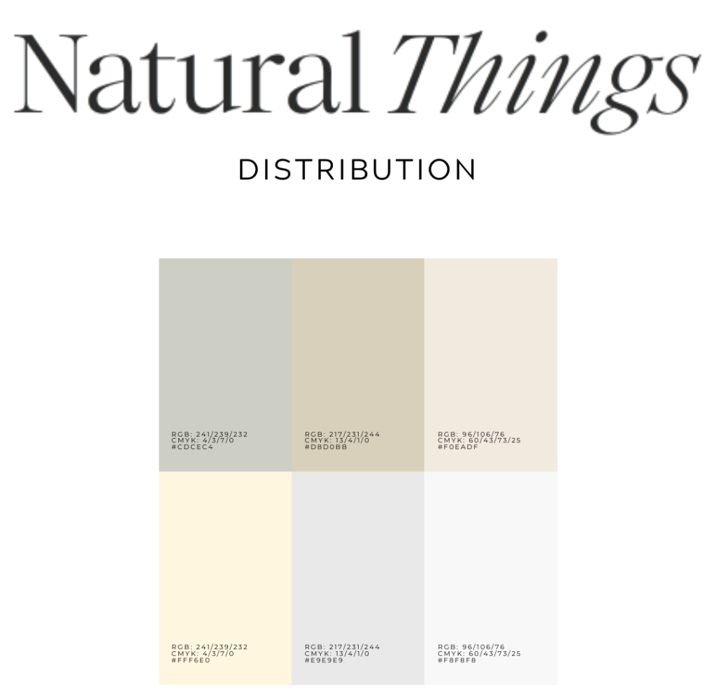 Natural Things B2B — brand identity (logo and palette)