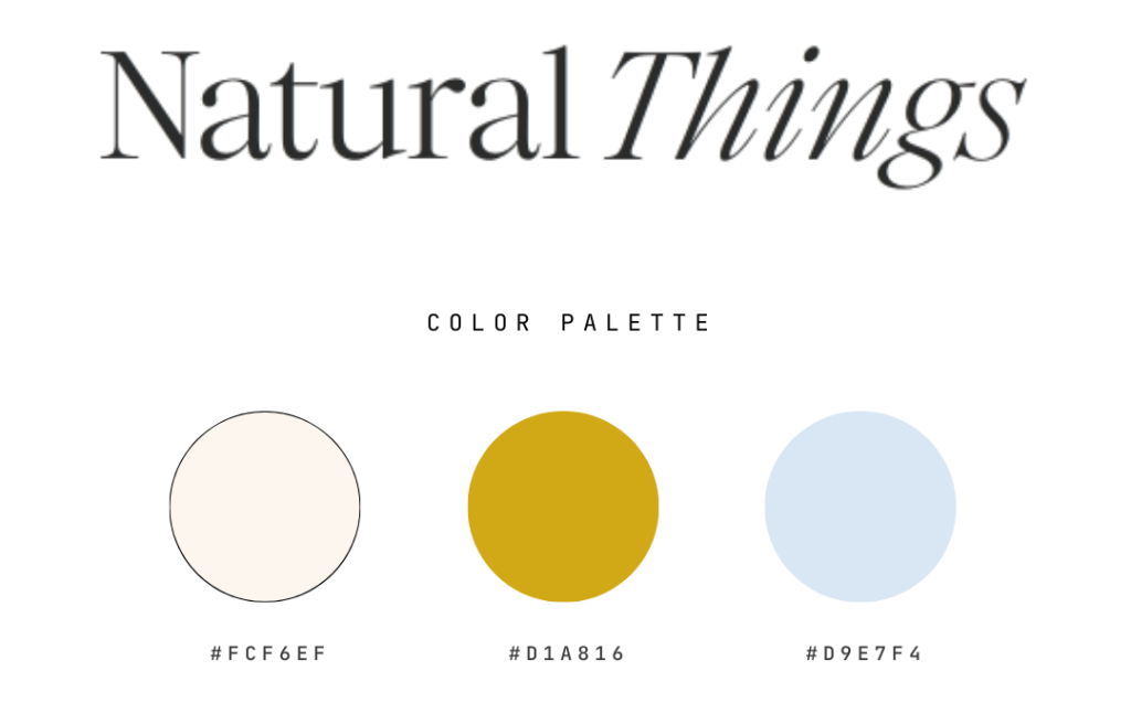 Natural Things — D2C brand identity (logo and palette)