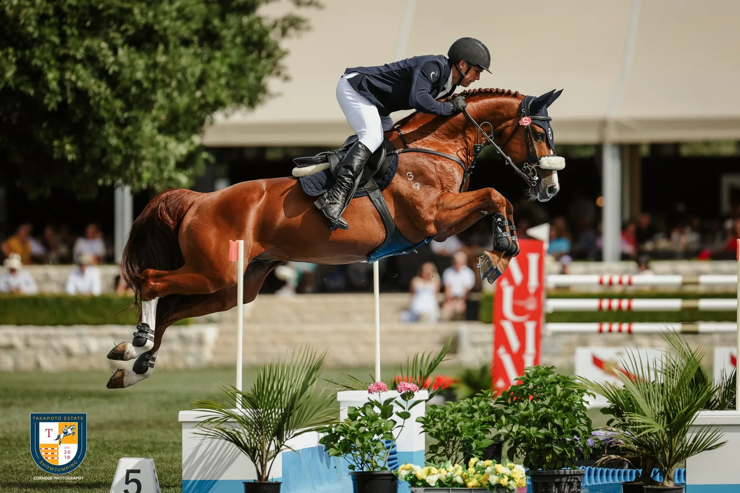 A clear round at the Classic