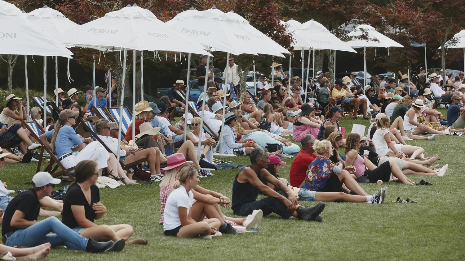Guests watching the action
